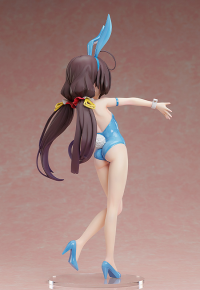Ai Hinatsuru: Bare Leg Bunny Ver. 5
