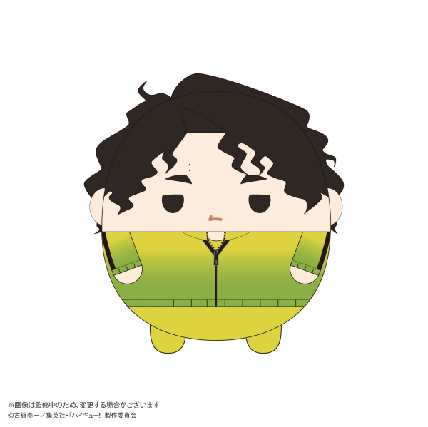 Haikyu!! FUWA KORORIN Ｍsize 10 (Item H)