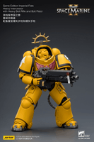 Game Edition Imperial Fists Heavy Intercessor with Heavy Bolt Rifle and Bolt Pistol 19
