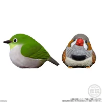 BANDAI Tenori Friends 4 Birds  (Box/12), Bandai Shokugan Tenori Friends - Tenori Friends - photo 7