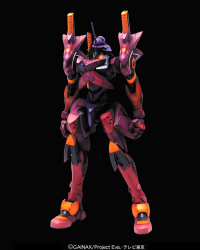HG EVA-01 Test Type F Type 2