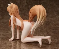 FREEing Holo - Spice and Wolf - photo 12