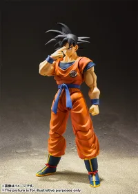 TAMASHII NATIONS Son Goku -A Saiyan Raised On Earth- Dragon Ball Z, TAMASHII NATIONS S.H.Figuarts - Dragon Ball Z - photo 8