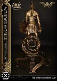 Prime 1 Studio Museum Masterline Wonder Woman (Film) Wonder Woman Training Costume Gold Version - DC Comics - photo 11