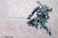 Formula 5