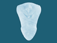 Silicone Tray - 10th Angel 2