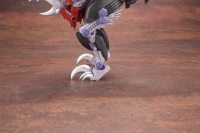 EZ-027 REV RAPTOR 6