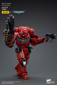 Blood Angels Intercessors 2