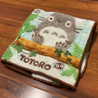 Resting Totoro 1