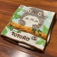 Marushin Resting Totoro - Studio Ghibli - photo 1