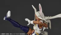 KAIYODO Revoltech Mirko - My Hero Academia - photo 10