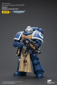 Ultramarines Sternguard Veteran with Bolt Rifle 7