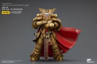 JOYTOY Imperial Fists  Rogal Dorn, Primarch of the Vll th Legion - Warhammer 40K - photo 11