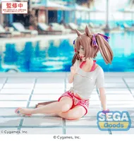 SEGA Yumemirize Umamusume: Pretty Derby Smart Falcon -Gaze on Me!- - Umamusume: Pretty Derby - photo 4