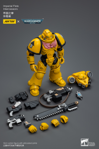 Imperial Fists Intercessors 8