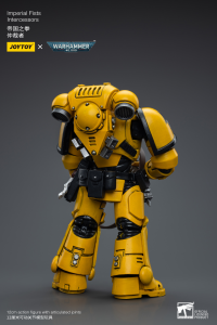 Imperial Fists Intercessors 9