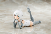 B1R-M CHASSIS KIT SKIN COLOR A 9
