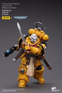 Primaris Space Marines Imperial Fists Bladeguard Veteran 8