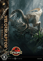 Legacy Museum Collection The Lost World: Jurassic Park (Film) Velociraptor 1/6 Scale  			 7