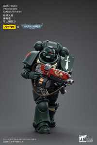 Dark Angels Intercessors Sergeant Rakiel 8