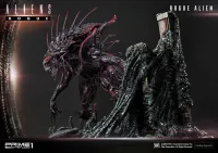 Prime 1 Studio Premium Masterline Aliens (Comics) Rogue Alien Battle Diorama - Alien (Movie Franchise) - photo 51