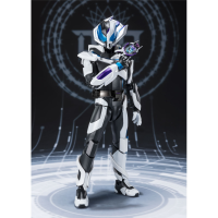 S.H.Figuarts KAMEN RIDER ZIIN 1