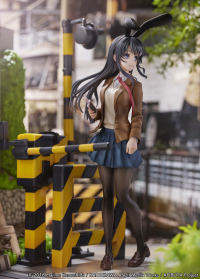 Mai Sakurajima -Enoden Ver.- 14