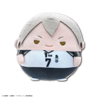 Haikyu!! FUWA KORORIN Ｍsize3 F 1