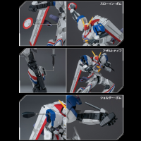 RIOBOT Metal Armor Dragonar Dragonar 1 Custom 9