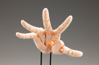 ARTIST SUPPORT ITEM HAND MODEL/R -PALE ORANGE- 8
