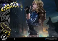 Prime 1 Studio Museum Masterline DC Comics Black Canary - DC Comics - photo 30
