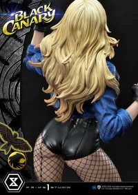 Prime 1 Studio Museum Masterline DC Comics Black Canary EX Version - DC Comics - photo 20