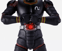MASKED RIDER BLACK KINGSTONE FLASH EDITION (FIRST RELEASE) 7