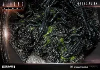 Prime 1 Studio Premium Masterline Aliens (Comics) Rogue Alien Battle Diorama EX Version - Alien (Movie Franchise) - photo 72