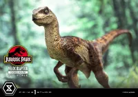 Prime 1 Studio Prime Collectible Figures  Jurassic Park (Film)  Velociraptor  Closed Mouth - Jurassic Park - photo 17