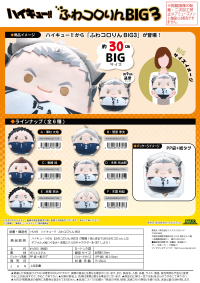 Haikyu!! FUWA KORORIN BIG 3 A 3