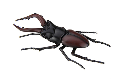 [FI No.22]  Biology Edition Stag Beetle