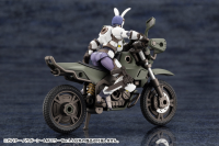 GOVERNOR PARA-PAWN LAT MIRROR Ver.1.5 15