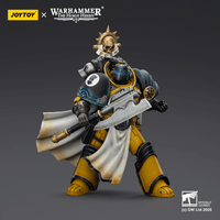 Imperial Fists Librarian Consul with Force Axe and Bolt Pistol 18