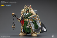 Dark Angels Deathwing Knight Master with Flail of the Unforgiven 4