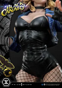 Prime 1 Studio Museum Masterline DC Comics Black Canary EX Version - DC Comics - photo 17