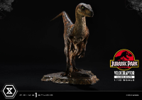 Prime Collectible Figures  Jurassic Park (Film)  Velociraptor  Closed Mouth 7