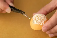 Syuto Seiko Sesame Ball Plastic Model - Scale Kits - photo 6