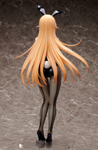 Erina Nakiri: Bunny Ver.(Re-run) 5