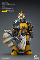 Imperial Fists Librarian Consul with Force Axe and Bolt Pistol 2