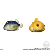 BANDAI Glossy Tenori Friends - Amphibians & Sea Creatures  (Open Box/12), Bandai Shokugan Tenori Friends - Blind Boxes - photo 3