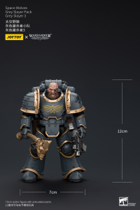 Space Wolves Grey Slayer Pack Grey Slayer3 5