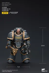 JOYTOY Space Wolves Grey Slayer Pack Grey Slayer3 - Warhammer 40K - photo 5