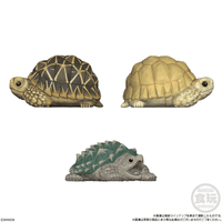 Tenori Friends 12, Bandai Shokugan Friends (Box of 12) 5