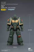 Dark Angels Intercessor with Bolt Rifle, Bolt Pistol and Chainsword 16